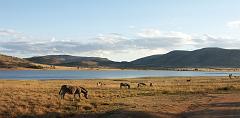 090516_Pilanesberg 299